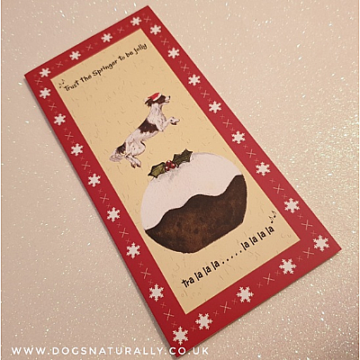 Jolly Springer Fun Dog Christmas Card